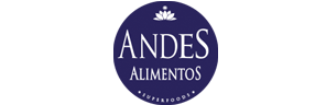 andes_logo